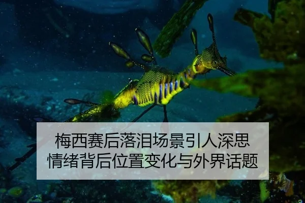 mei-xi-sai-hou-luo-lei-chang-jing-yin-ren-shen-si-qing-xu-bei-hou-wei-zhi-bian-hua-yu-wai-jie-hua-ti-2-521.jpg
